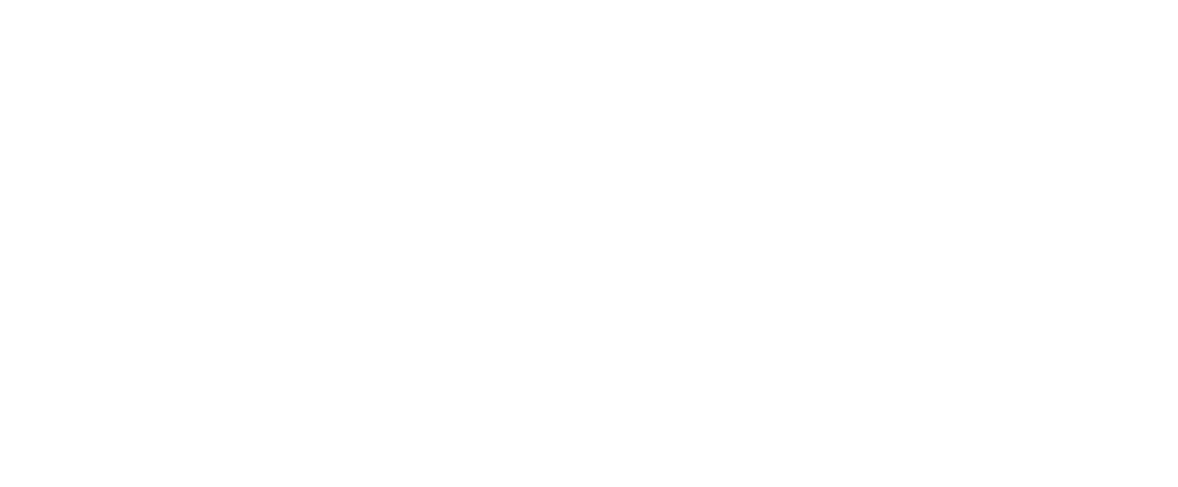 Björn SkorstensService AB logotyp