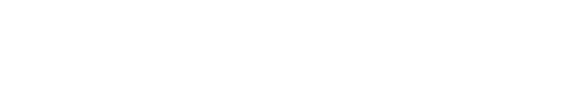 Carl Stiller Ekonomistyrning AB logotyp