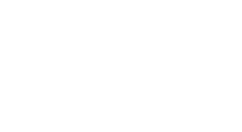 The Forest Solution Falun Sweden AB logotyp
