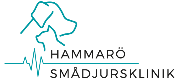Hammarö Smådjursklinik AB logotyp