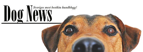 AH BOOKS Publishing AB logotyp