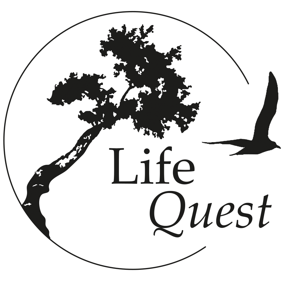 Life Quest AB logotyp