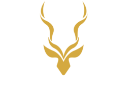 Naiga Sweden AB logotyp