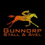 Gunnorp Innovationskraft AB logotyp
