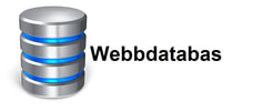 Webbdatabas Ctrl AB logotyp