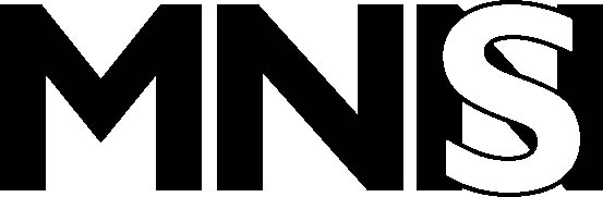 MN Nätverk & Support AB logotyp