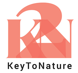 Keytonature AB logotyp