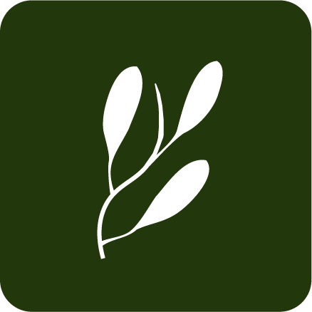 MinnyMind Arkitekter AB logotyp