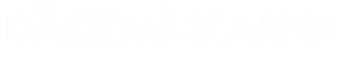 Däckmästarna Varberg AB logotyp