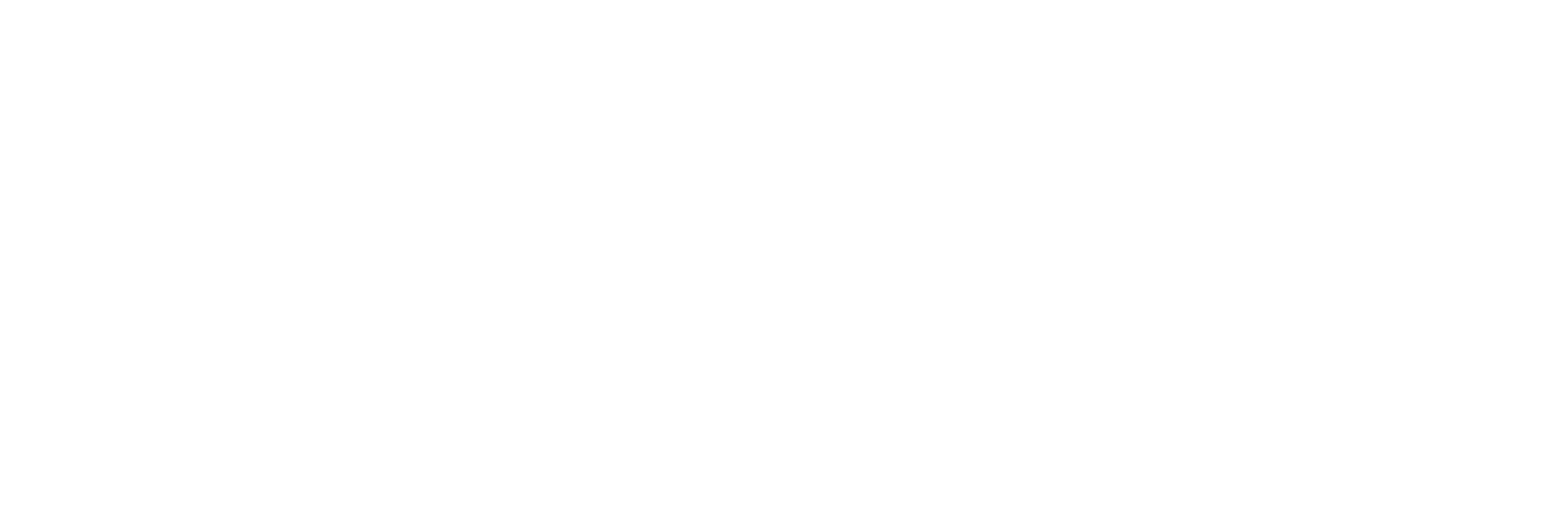 Noyer AB logotyp