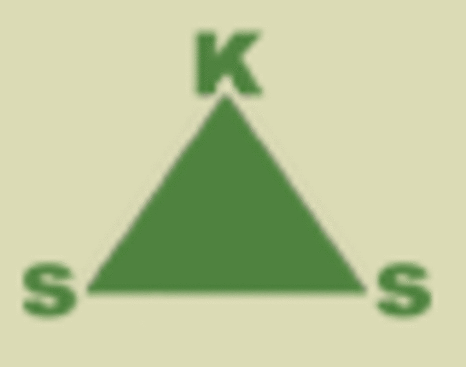 Ikoni Service AB logotyp