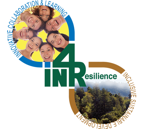 IN4Resilience AB logotyp