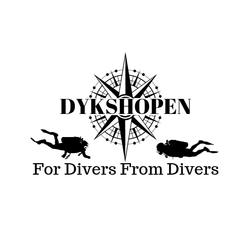 Dykshopen Sweden AB logotyp