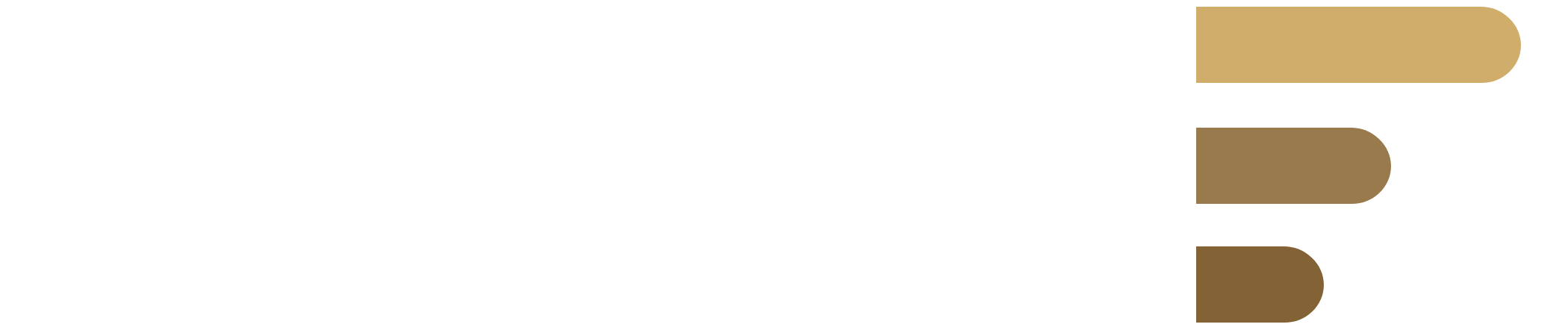 Future Mobility AB logotyp