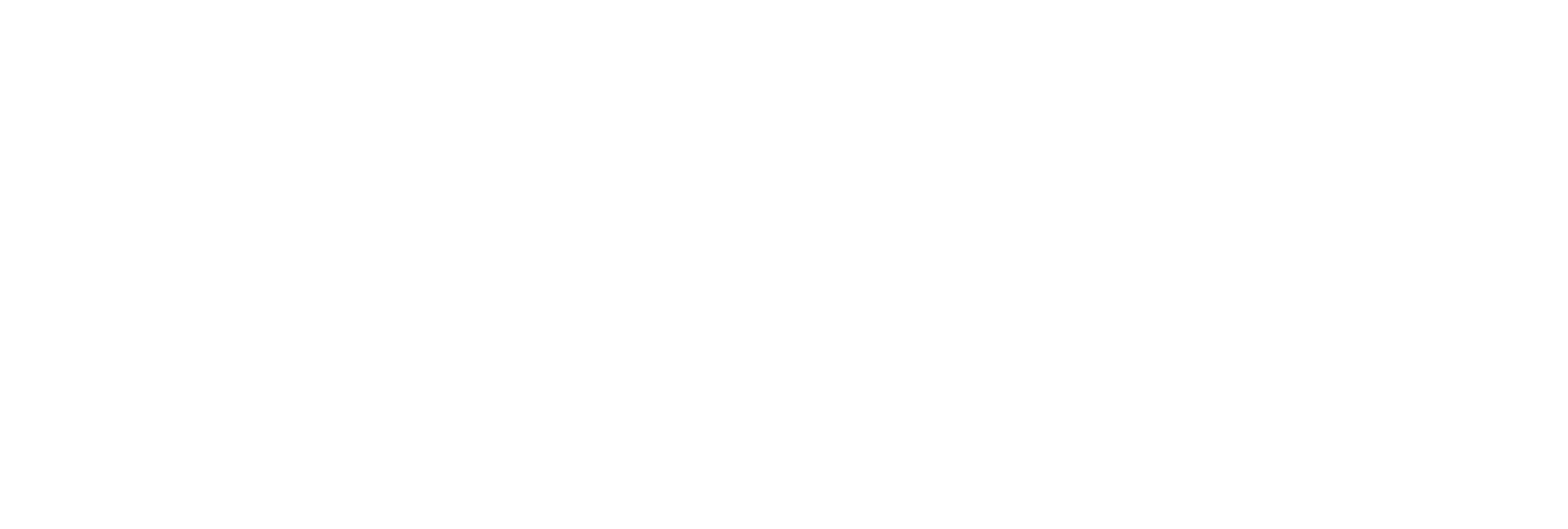 Roadex AB logotyp