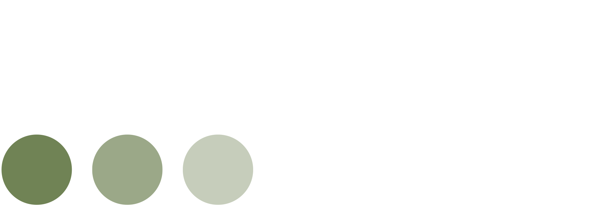 Wise Management AB logotyp