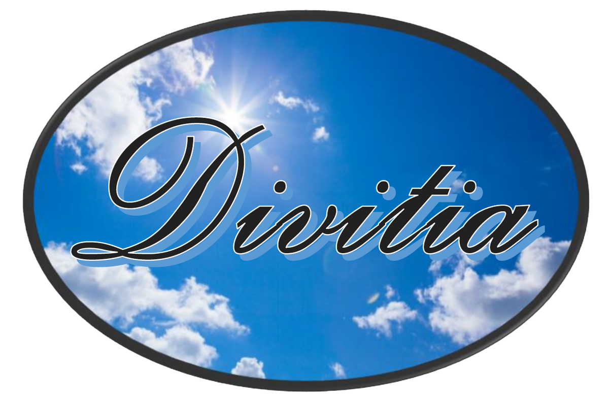 Divitia AB logotyp