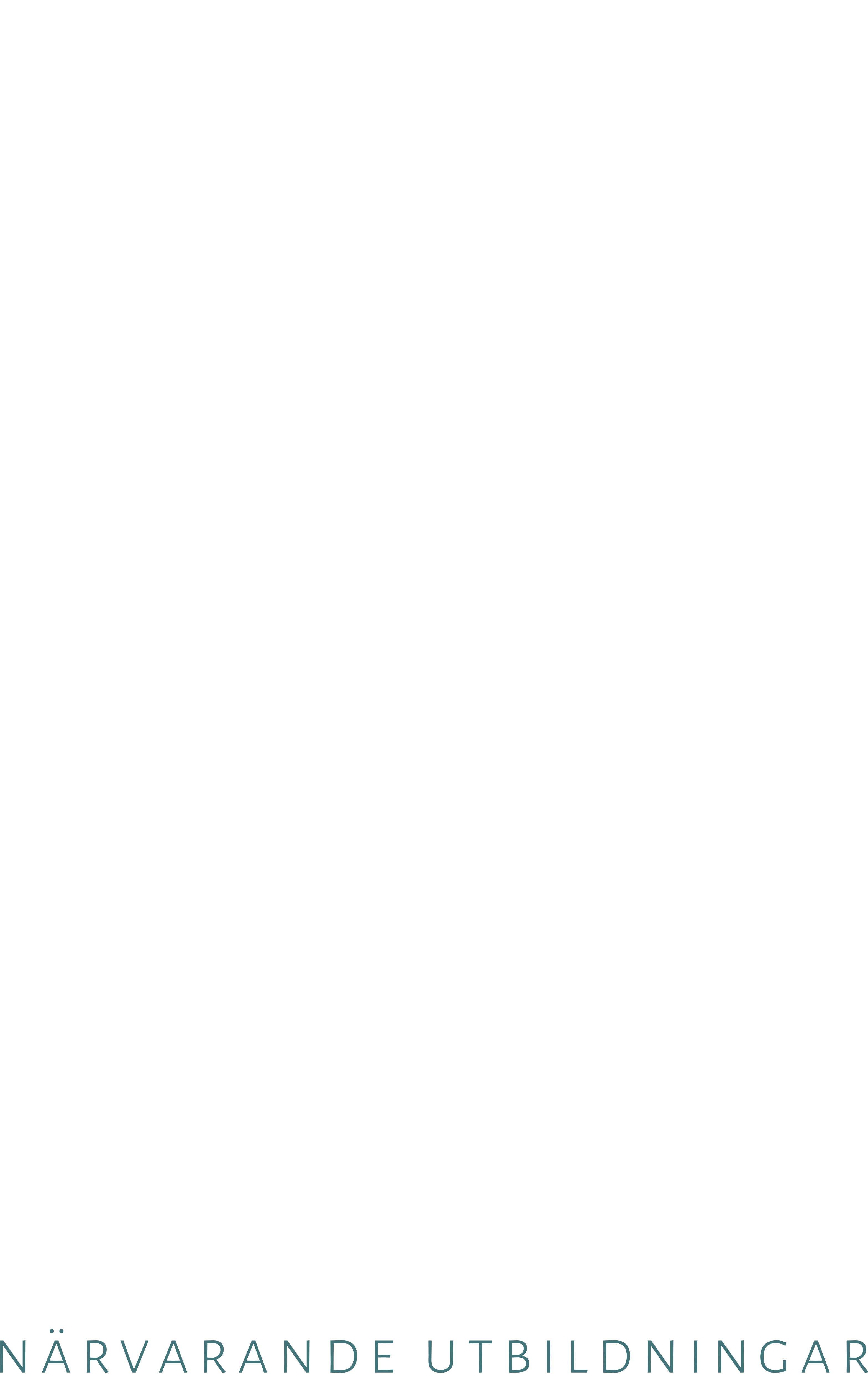 Kina Nyman AB logotyp