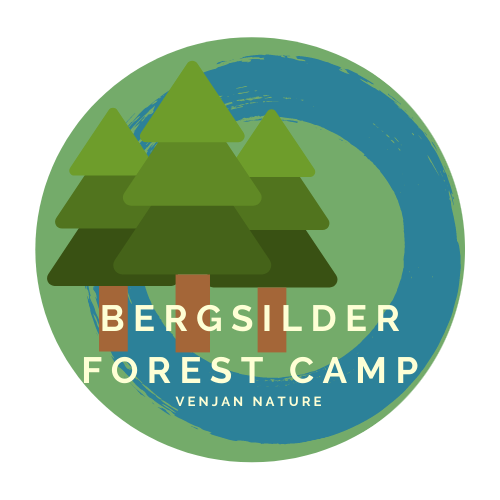 Bergsilder AB logotyp