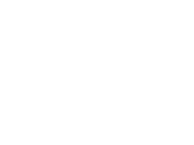 Priscila Elias Photography AB logotyp