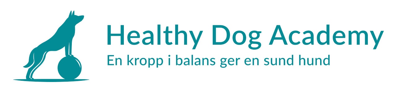Healthy Dog Academy I Enköping AB logotyp