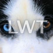 Lapland Wilderness Tours AB logotyp