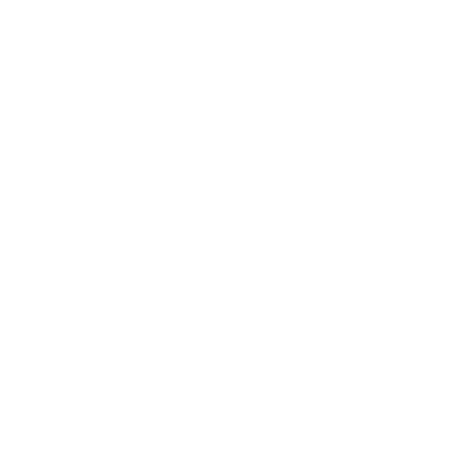 Folk & Film Sweden AB logotyp