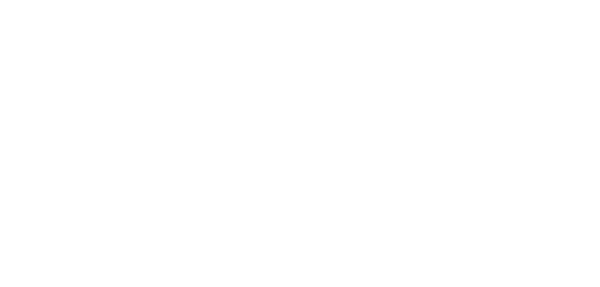 Fenex Advisors AB logotyp