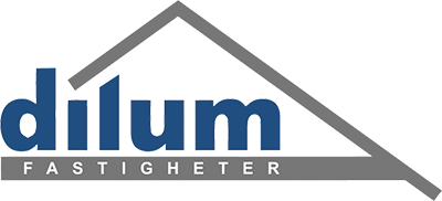 Dilum Briljanten 1 AB logotyp