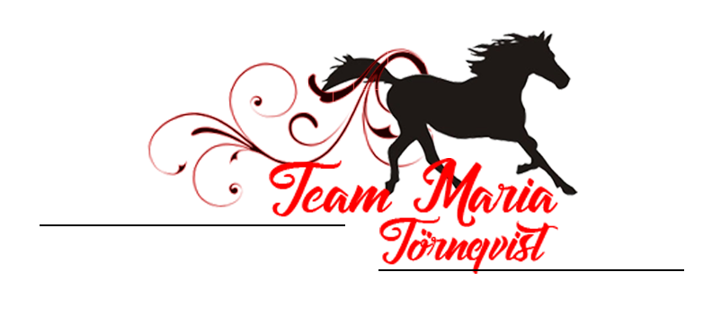 Maria Törnqvist AB logotyp