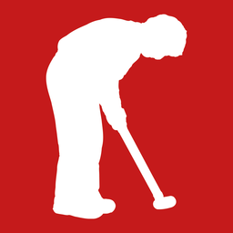 Dormy Golf International AB logotyp