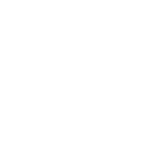 Salong Bliss AB logotyp