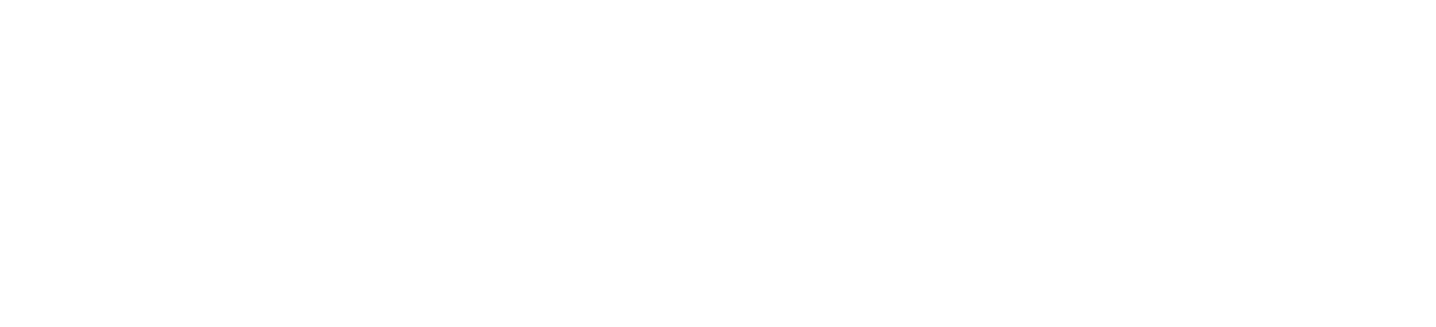 NM Städ AB logotyp
