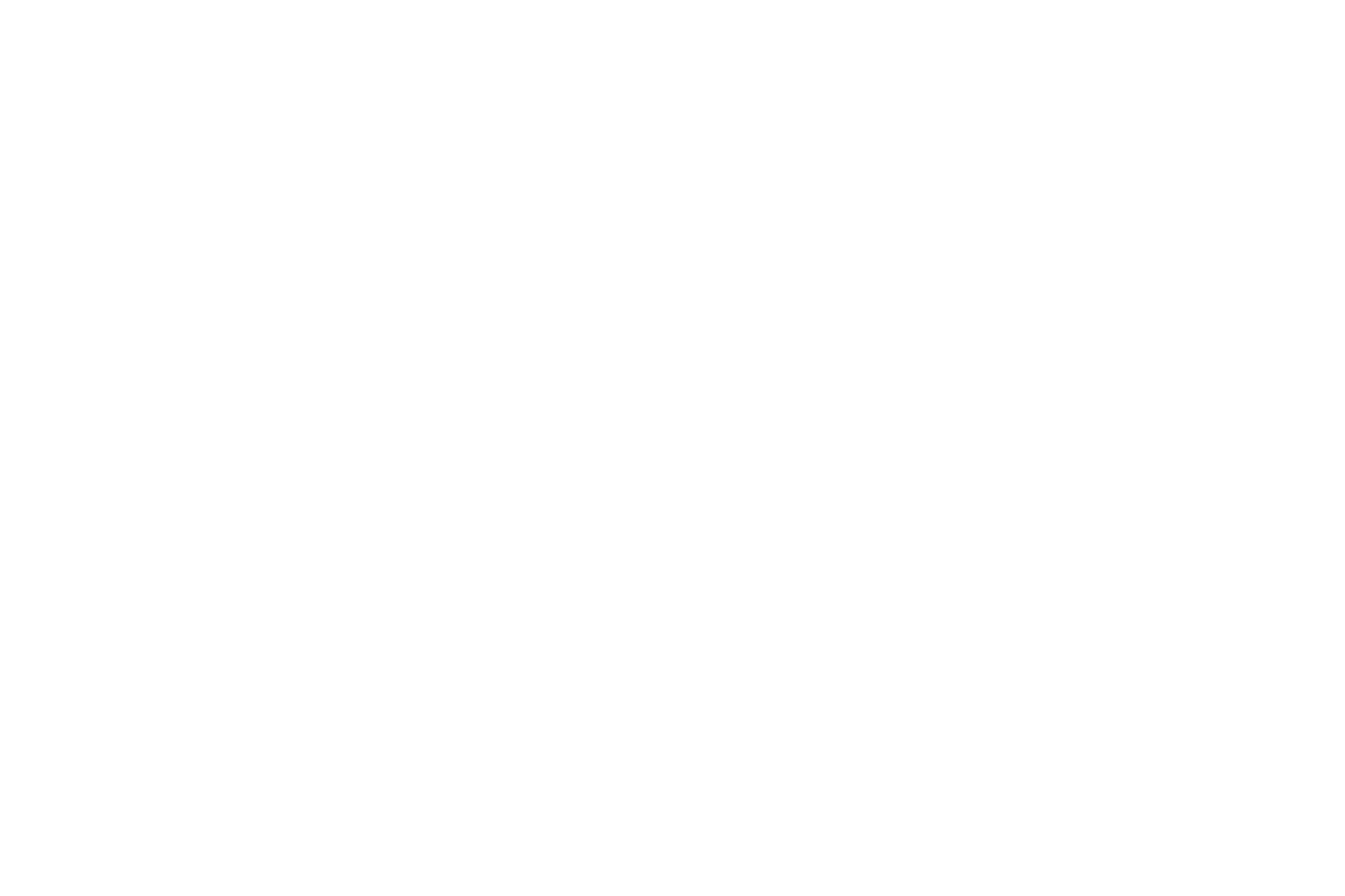 Oakleaf Consulting AB logotyp