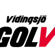 Vidingsjö Golv AB logotyp