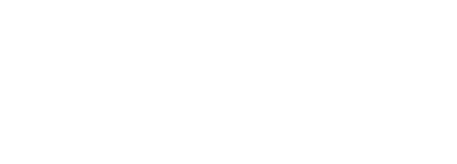 Restaurang Stora Holm AB logotyp