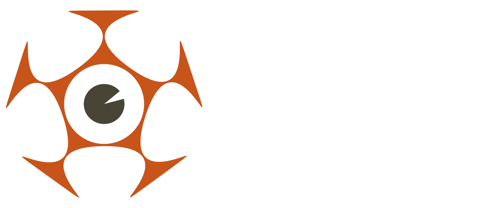 Visivi AB logotyp