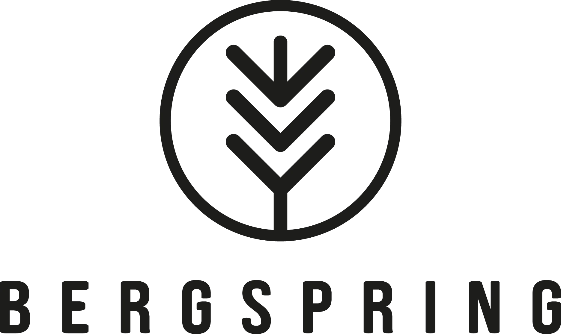 Bergspring AB logotyp