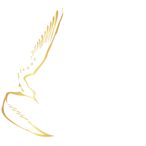 Aeroprocurement Global AB logotyp