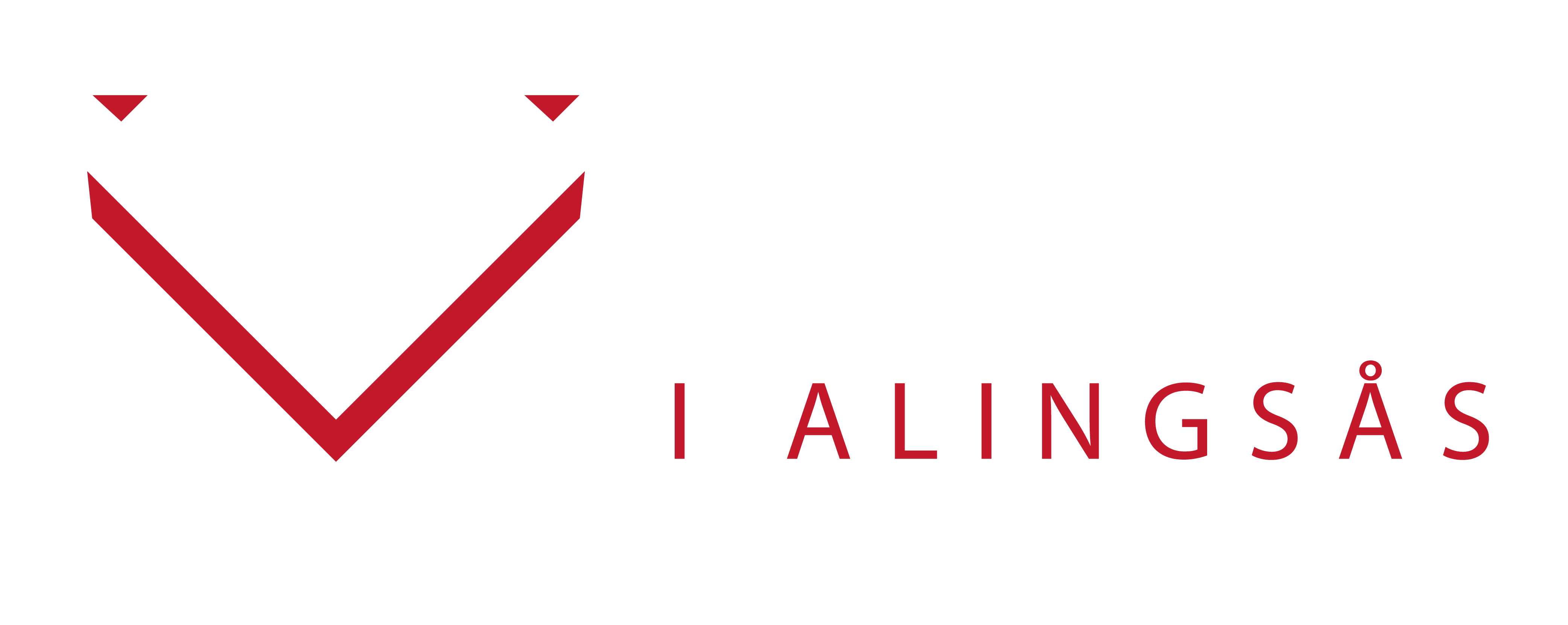 Bil & Motor I Alingsås AB logotyp