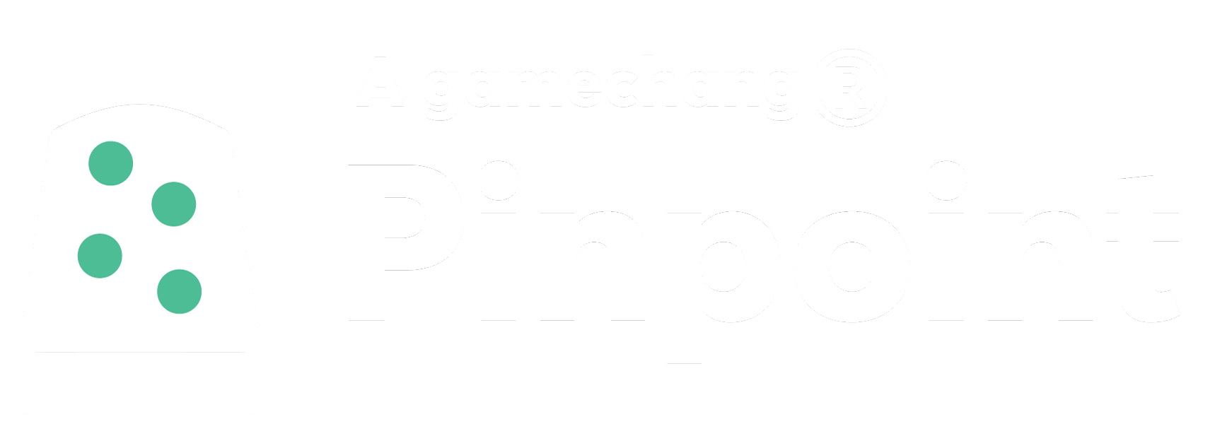 Readymade Pinpoint AB logotyp