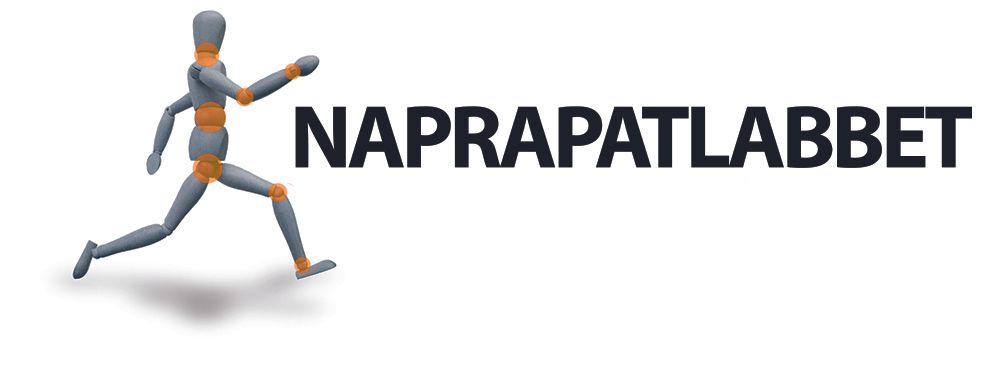 Naprapatlabbet Sverige Holding AB logotyp