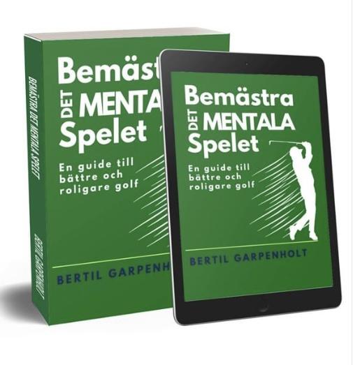 Bertil Garpenholt Consulting AB logotyp
