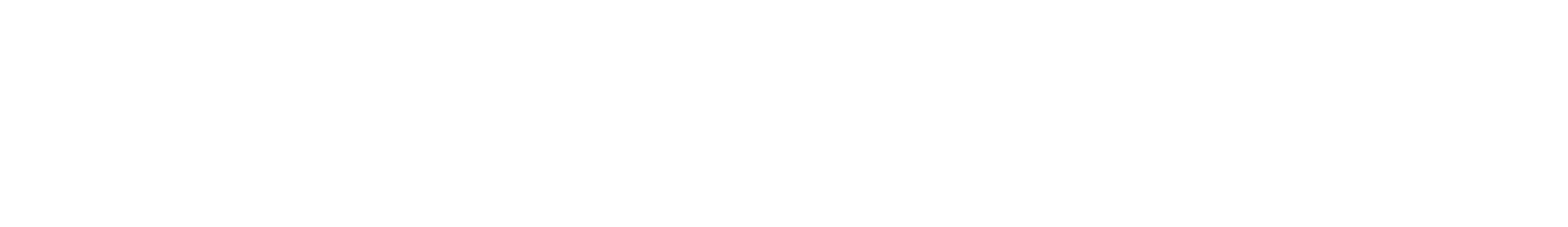 Skoog Stjerna AB logotyp