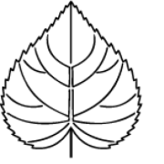 Specialistjuristen Lindh & Co AB logotyp
