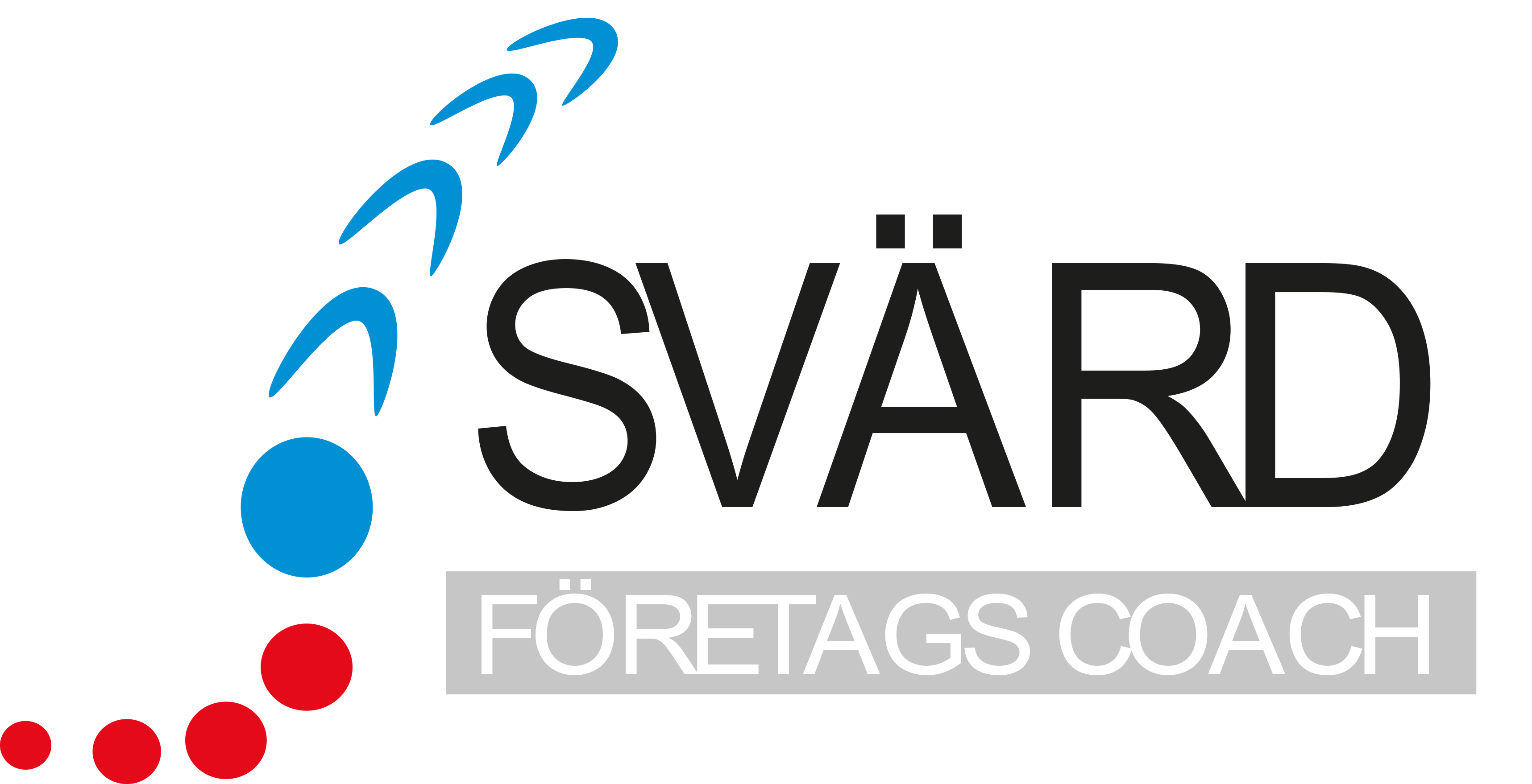 Svärd Företagspartner AB logotyp
