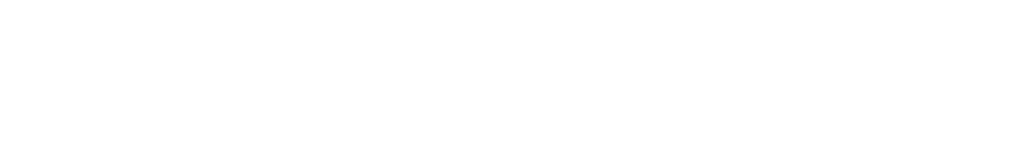 Stockholm Nordtech Group AB logotyp