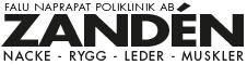 Falu Naprapat Poliklinik AB logotyp