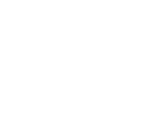 Peppinge B&B AB logotyp