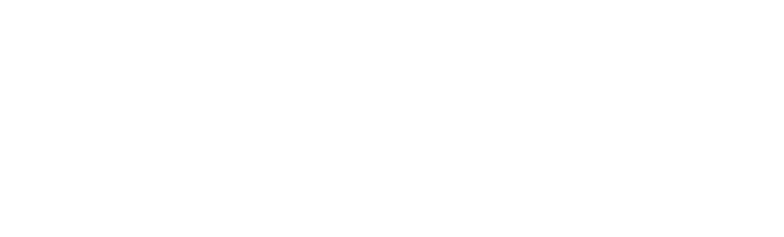 Body Å Brain Skeå AB logotyp